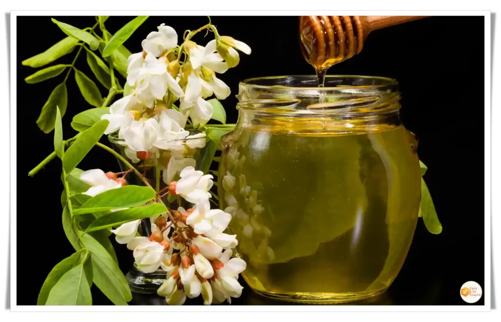 Discover the Pure Goodness of Natural Raw Acacia Honey from the Eastern Carpathians, Romania