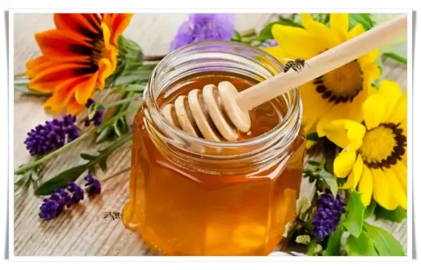 Harvesting Polyflora Honey Pure Life Source